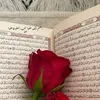 amiralayla3