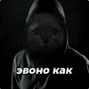 vishistui