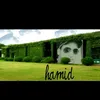 hamidmoid1