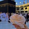 najahftis1