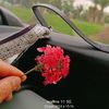 user34450068177611