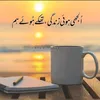 kanwal8785
