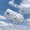 koalaman__0