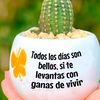user4501611991679