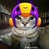 eivyn.chang