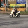 quang.l427