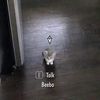dead_insid_d_