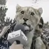 pablo.maan