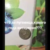 ruslan40519
