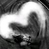 f1lovers_1