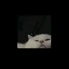 duy_phuongw
