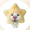 narisara_____________