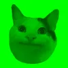 Camera Man Green AI