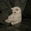 wiwiddd_04