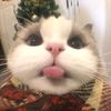 alyaa_yaa02
