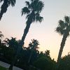 user7306123857209