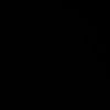 بصل اسود