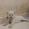 CB
