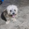 kodita09