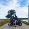 tatags_08