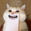 kucing.mabok3