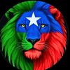 fatushinaabdi4