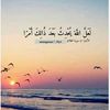 abd.elrahman1946