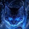 tigerthecat71