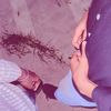 mohamett_a_o_