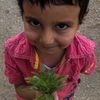 aishauwais