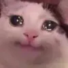 memesdochoro