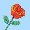 rana.majed7