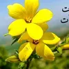 ahlam.ahlam372