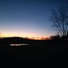 allisonfaith258