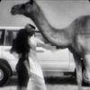 رهف