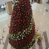 ameer.alsmt