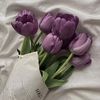 lilac.cpp