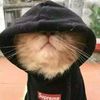 user1424514561308