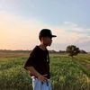 wil1254336