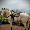 florensio14