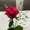 lsw0074