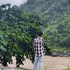 rohit.ojha