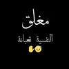 21hassn.h