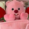 user17290299484466