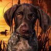whiskey_timber_gs