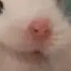 banhbuon121