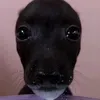 hangpiu