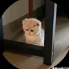 anroitoanngu