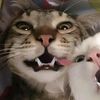 s_raawwwaaa