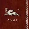 avarka_2013